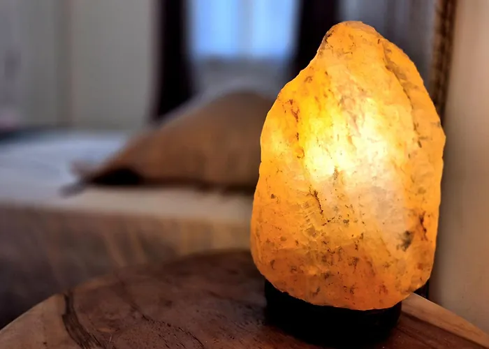 Le Nemausa - Coeur De - Clim Nîmes