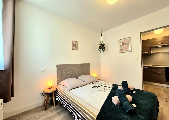 Le Nemausa - Coeur De - Clim Appartement *